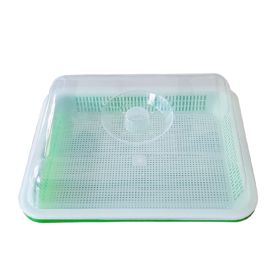 Soilless Cultivation Planting Plate Vegetable Double Layer Vegetable Seed Germination Plate