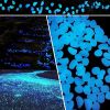 Outdoor Luminous Stones 100Pcs Glow in The Dark Pebbles Garden Moonlight Stones - white