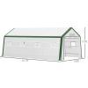 20' L x 10' W x 8' H Heavy-duty Greenhouse Walk-in Hot House with Windows and Roll Up Door;  PE Cover;  Steel Frame;  White - 001