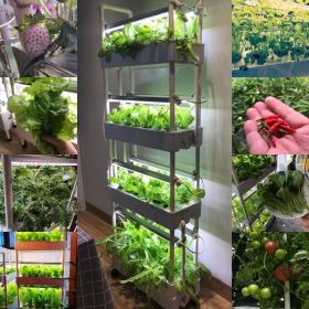 Home Garden Led Hydroponics System 4 Layers 56 Plant Sites Vegetable Planter for Strawberry/Lettuce/Pepper etc - 4 Layers 56 Plant Sites