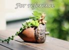 Resin Simulation Hazelnut Succulent Plant Pot Small Decorative Planter for Succulent Cactus - Default