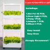 Home Complete Hydroponics System Kit 3 Layers 42 Pods with 6 PCS of Grow Light to Grow Strawberry/Lettuce/Cherry Tomato etc  - 3 Layers 42 Pods