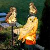 Solar Owl Garden Light Owl Solar Lamp Parrot Lawn Light Solar Lights Outdoor Solar Light Animal Pixie Lawn Lamp Waterproof Decor - White - China