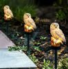 Solar Owl Garden Light Owl Solar Lamp Parrot Lawn Light Solar Lights Outdoor Solar Light Animal Pixie Lawn Lamp Waterproof Decor - White - China