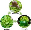 Protective cover against pests green vegetables Small snail plant cover Green plant pot holder bottom - Small snail plant cover-10pc