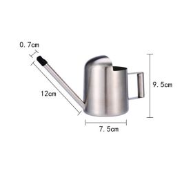 Stainless Steel Long Nozzle Watering Kettle Small (Option: Small Cylinder 300 Ml)