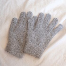 Women's Winter Finger Knitting Cute Monochrome Girl Versatile Pure Color Warm Gloves (Option: Light Gray-Average Size)