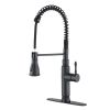 Stainless steel kitchen faucet